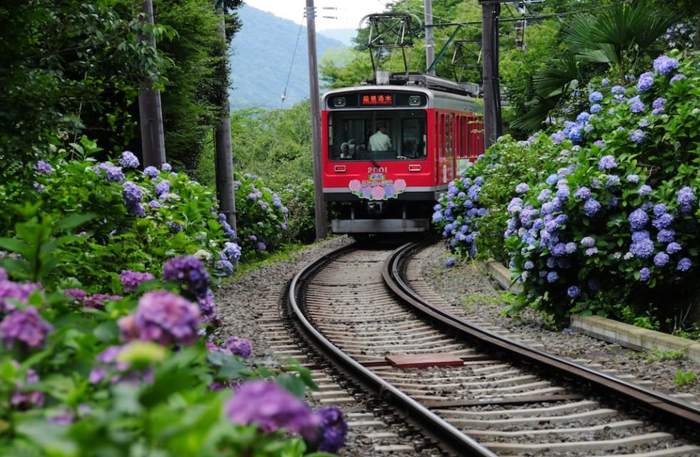 🌸 북산 공원(키타야마 코엔) 이미지 7